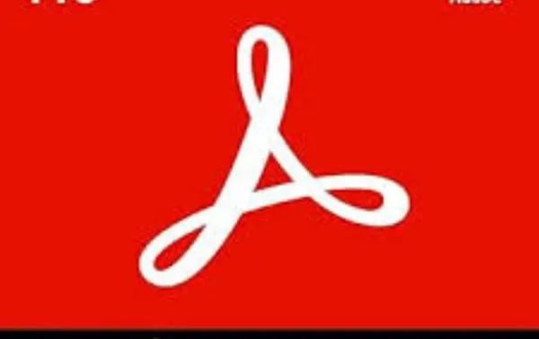 Adobe Licences