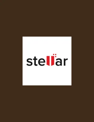 Stellar Data Recovery Standard for Windows