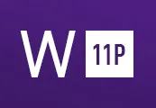 Windows 11 Professional OEM 5 Keys Bundle