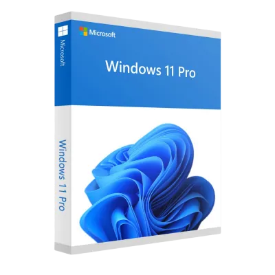 Windows 10/11 Home