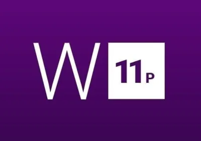 Windows 11 Professional for 5 PC
